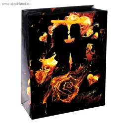 ПАКЕТ "СТРАСТНОЕ ПРИЗНАНИЕ" 23х27 см