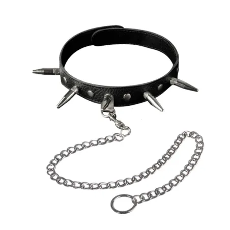 3103-1 Ошейник черный с поводком