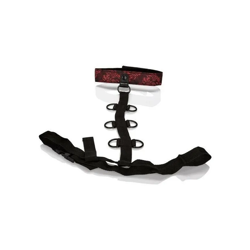 Фиксация для рук и шеи Scandal Collar Body Restraint