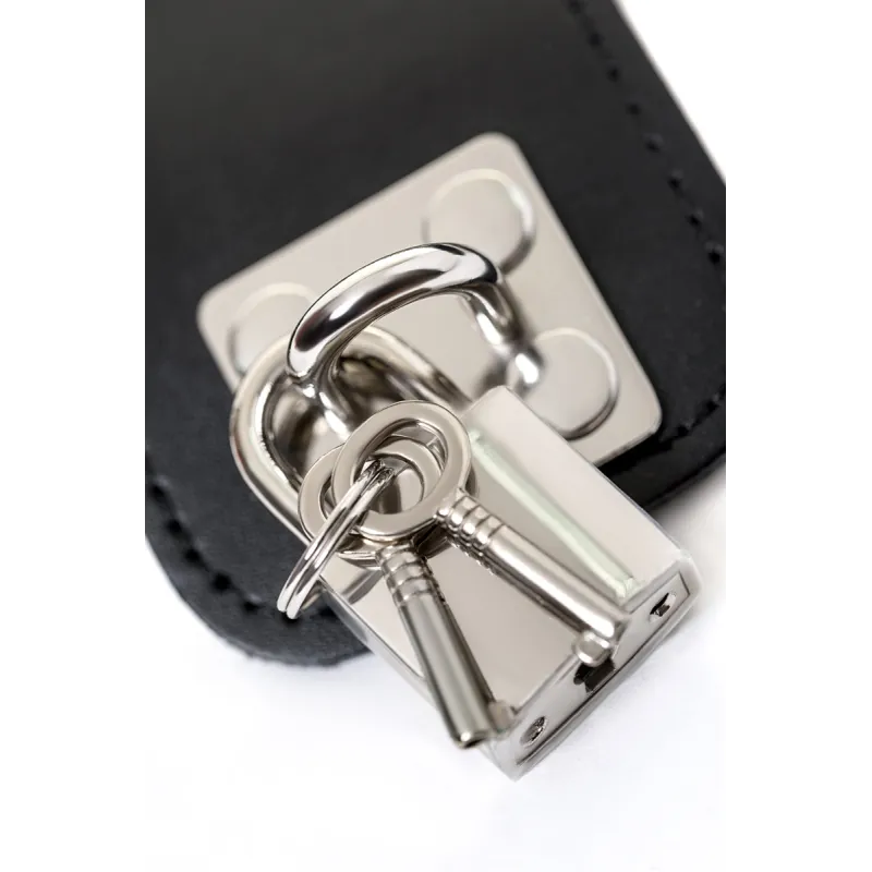 КОМПЛЕКТ БОНДАЖНЫЙ TOYFA THEATRE ,КОЖАННЫЙ