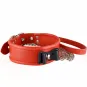 Ошейник красный 3129-2